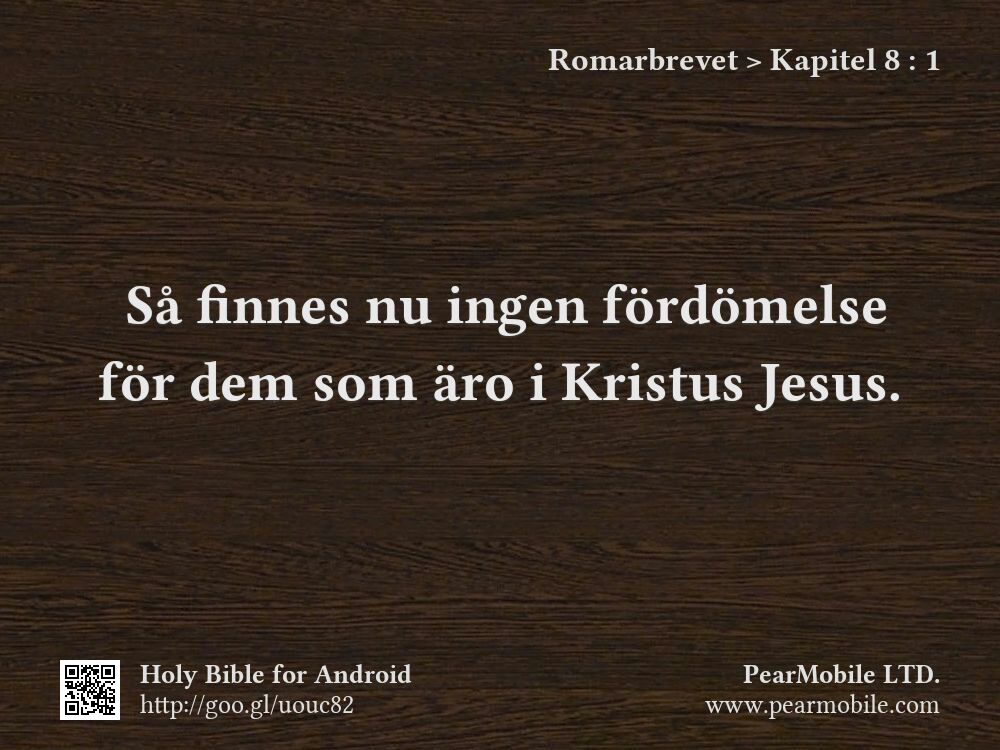 Romarbrevet, Kapitel 8:1